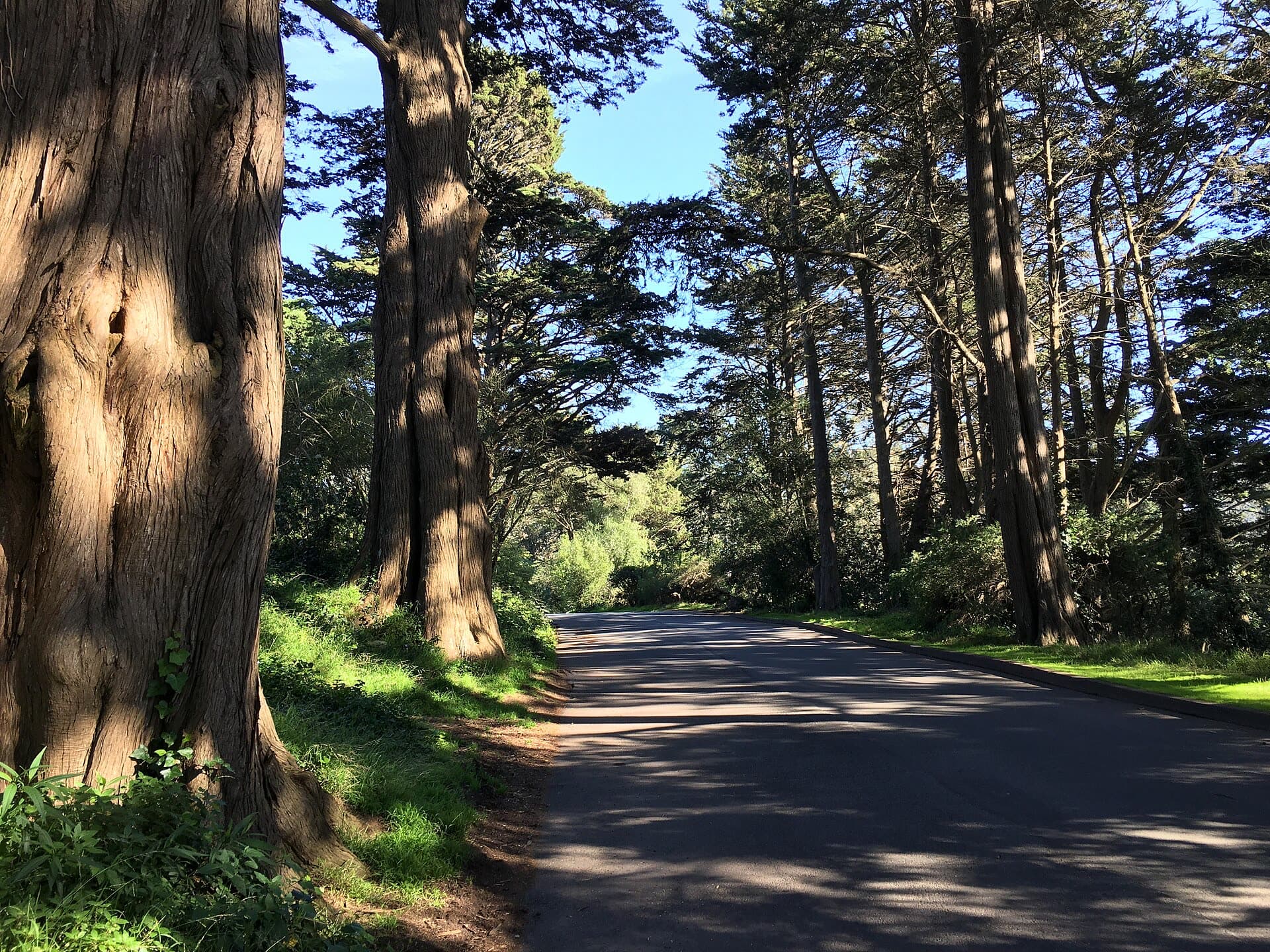 Golden Gate Park, San Francisco